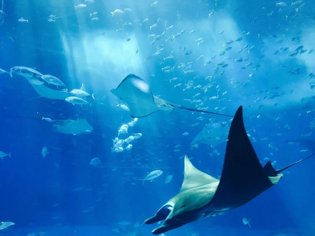 Aquarium
