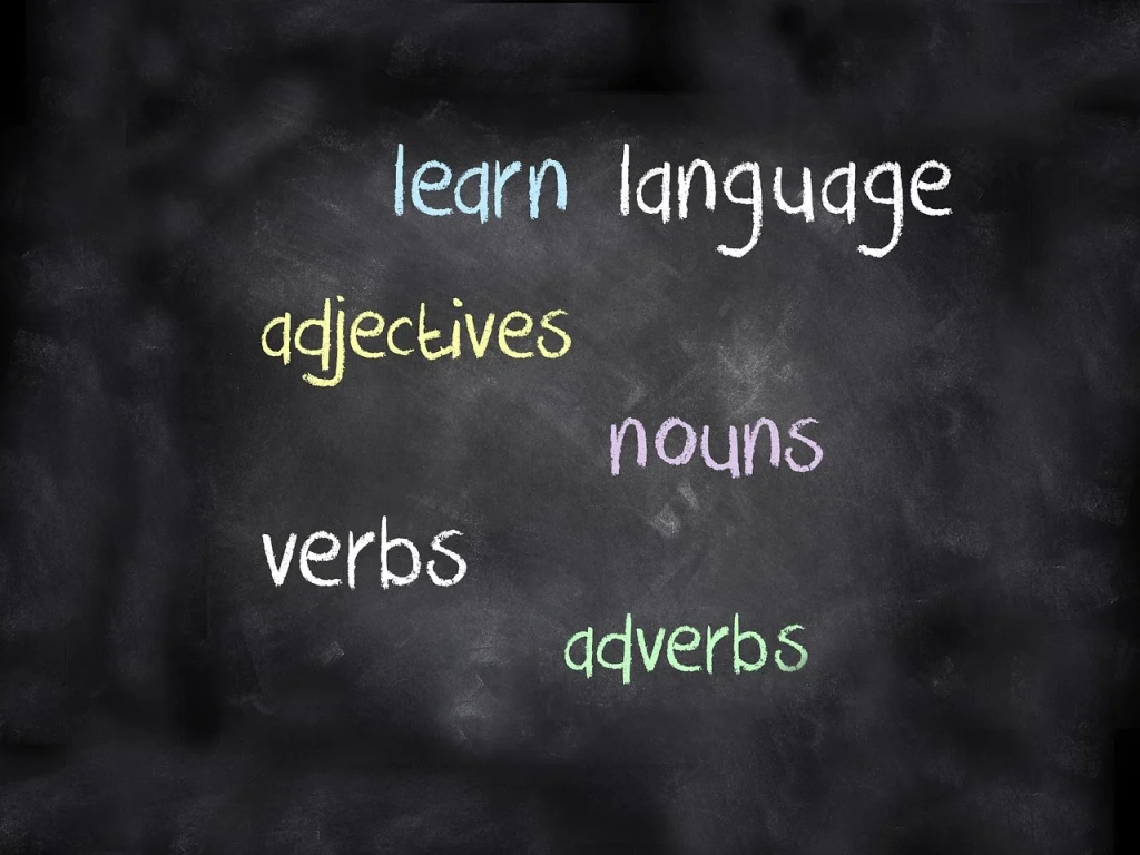 Enseignement supérieur en Belgique-langues