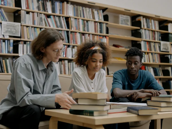 Higher Education in Belgium-How It Works