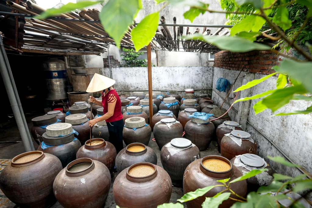 Work in South Korea-expertise