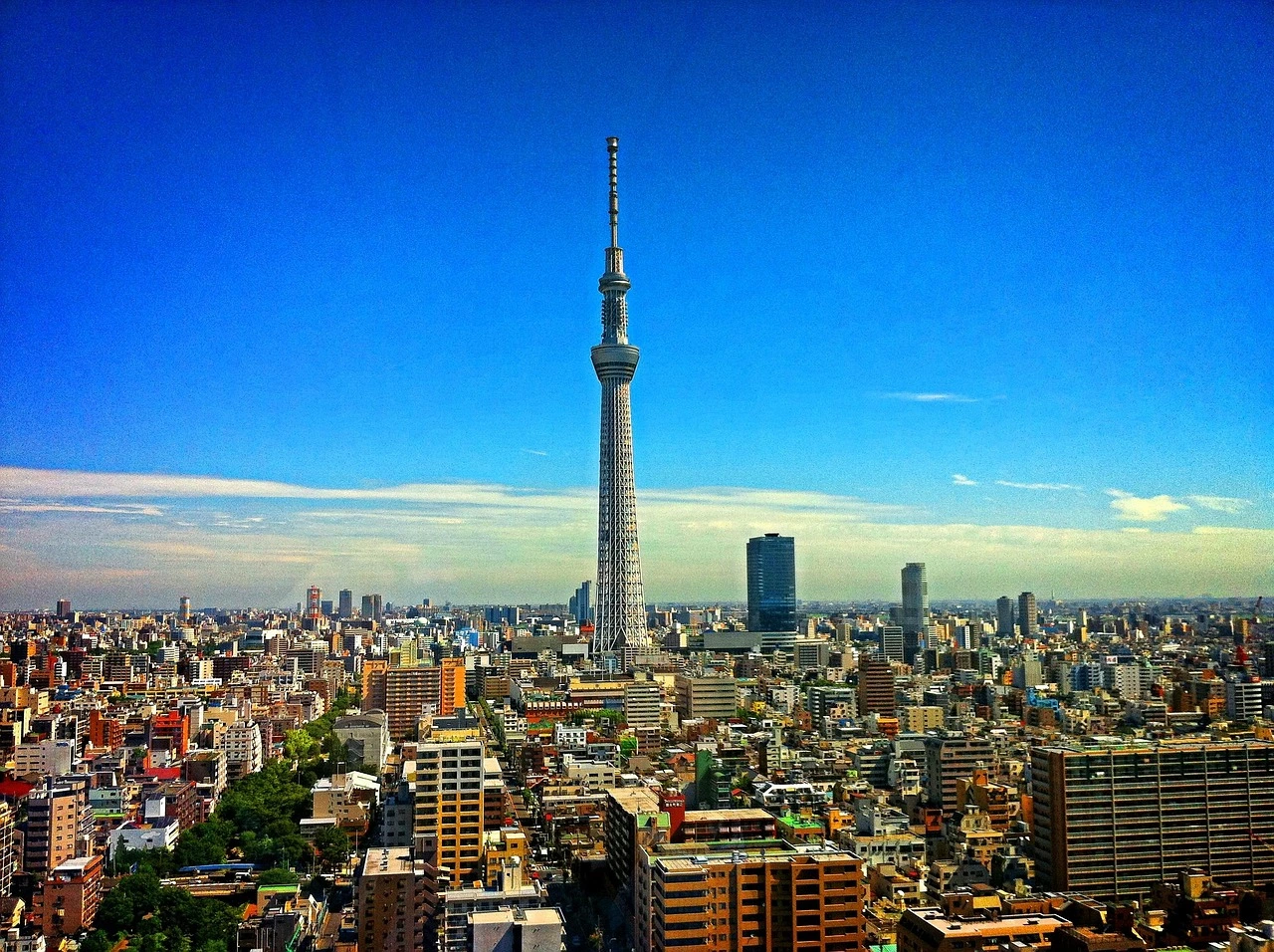 A stunning view of Tokyo Sky tree towering above the city skyline on a clear day, showcasing Japan's modern urban landscape and iconic landmarks.
