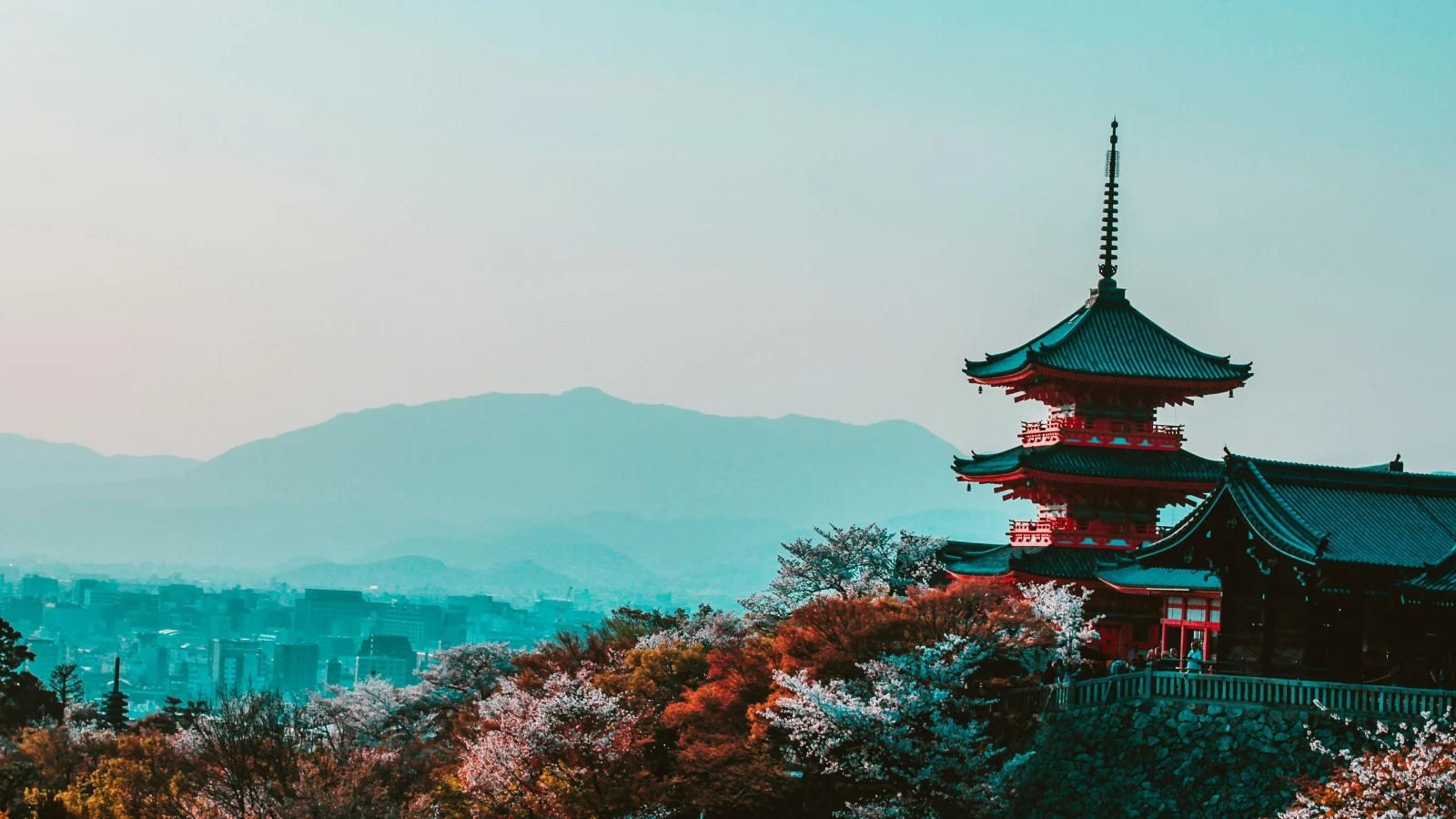 Que faire au Japon-expatis
