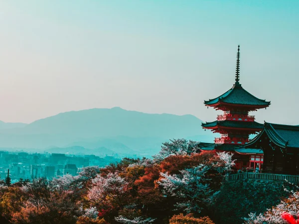 Que faire au Japon-expatis