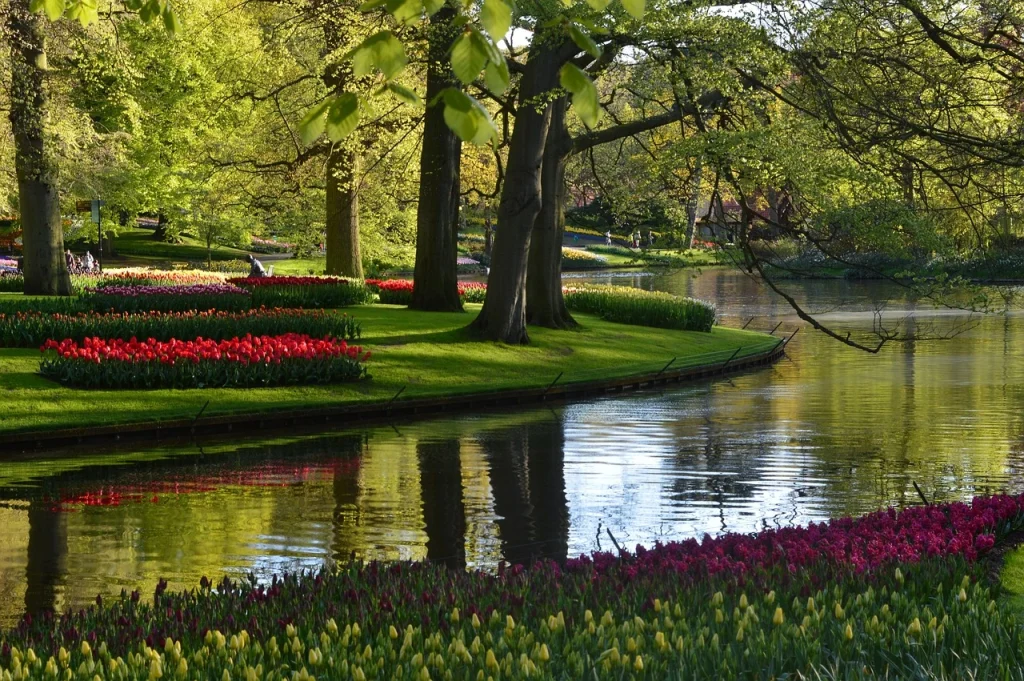 Lush green park with vibrant tulip gardens and a serene canal in Amsterdam's Westerpark, perfect for quiet strolls and cultural events.