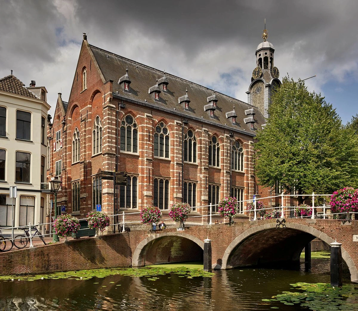 L'architecture historique de l'Université de Leiden, l'une des meilleures universités aux Pays-Bas , réputée pour ses programmes en droit et en relations internationales.