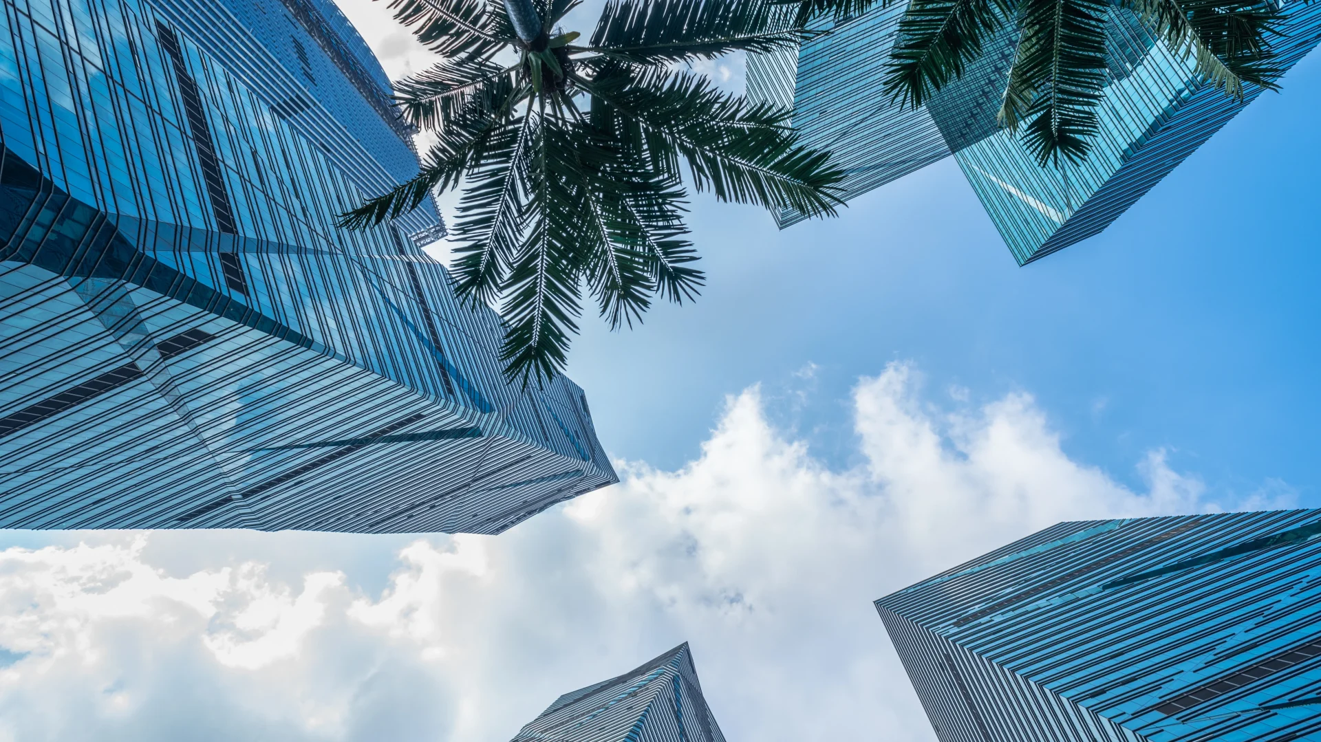 grattes ciels à Dubaï pris en contre-plongée - Louer un appartement à Dubaï