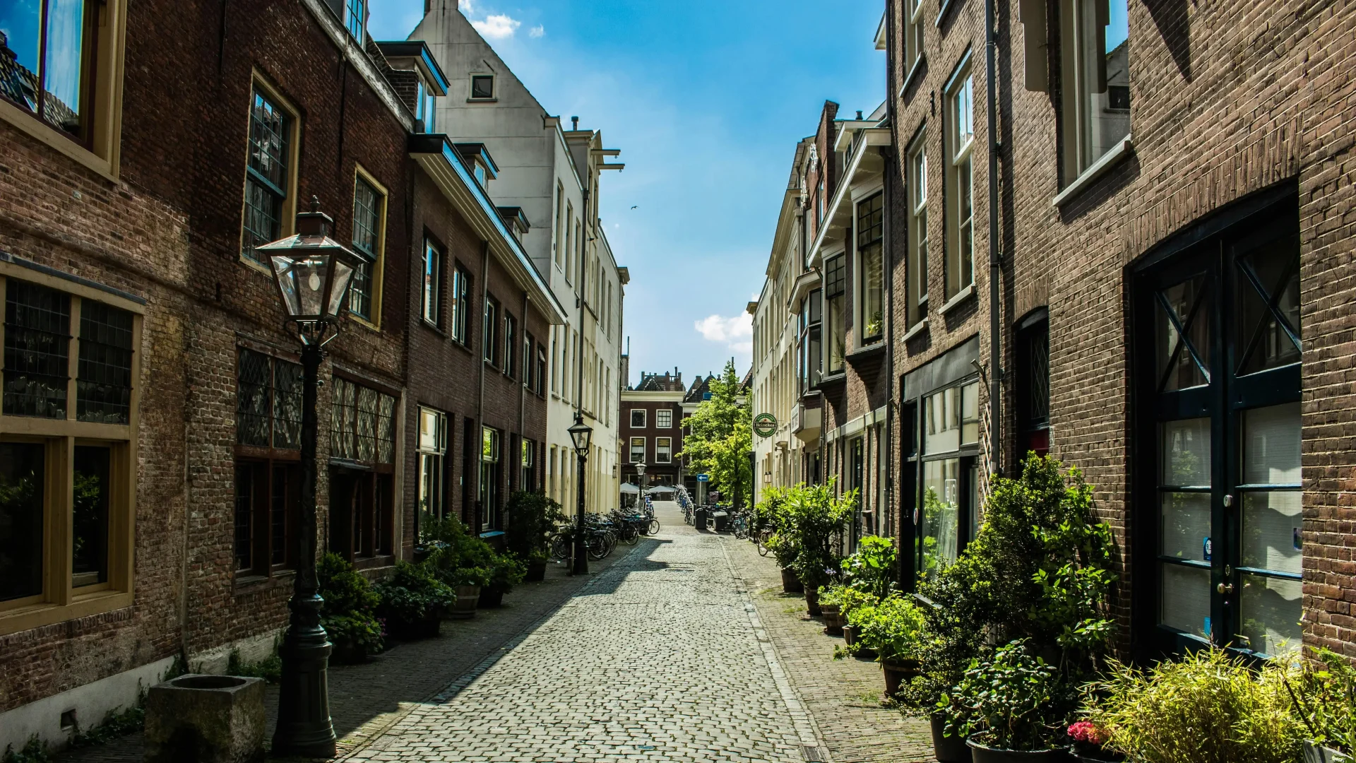 Quartier résidentiel paisible aux Pays-Bas – cadre de vie attractif pour un achat immobilier