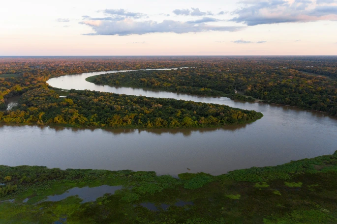 Aerial view of the Pantanal in Brazil, with winding rivers, wetlands, and tropical forest— a unique ecosystem home to exceptional wildlife.
