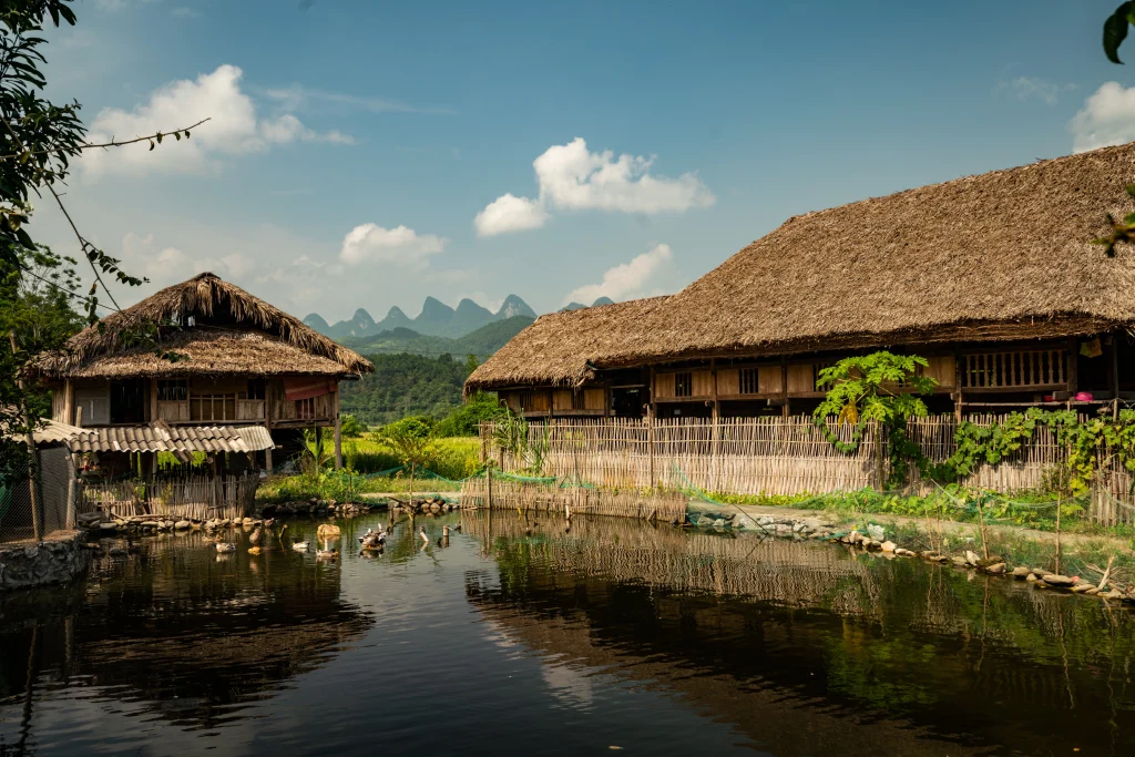 Maisons traditionnelles vietnamiennes au toit de chaume, au bord d’un étang avec des canards, dans un paysage rural entouré de montagnes et de rizières.